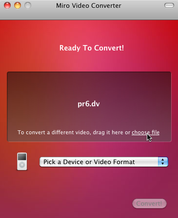 Miro Video Converter after choosing a file